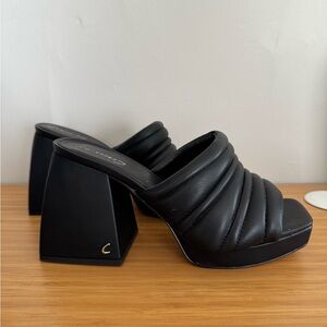 Chic Black Women's Platform Heels